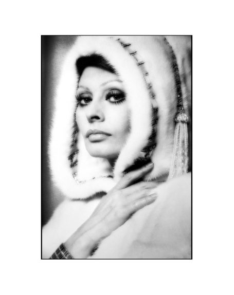 Portrait of Sophia Loren