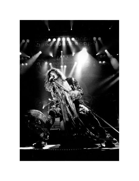 Performance shot of Steven Tyler in concert